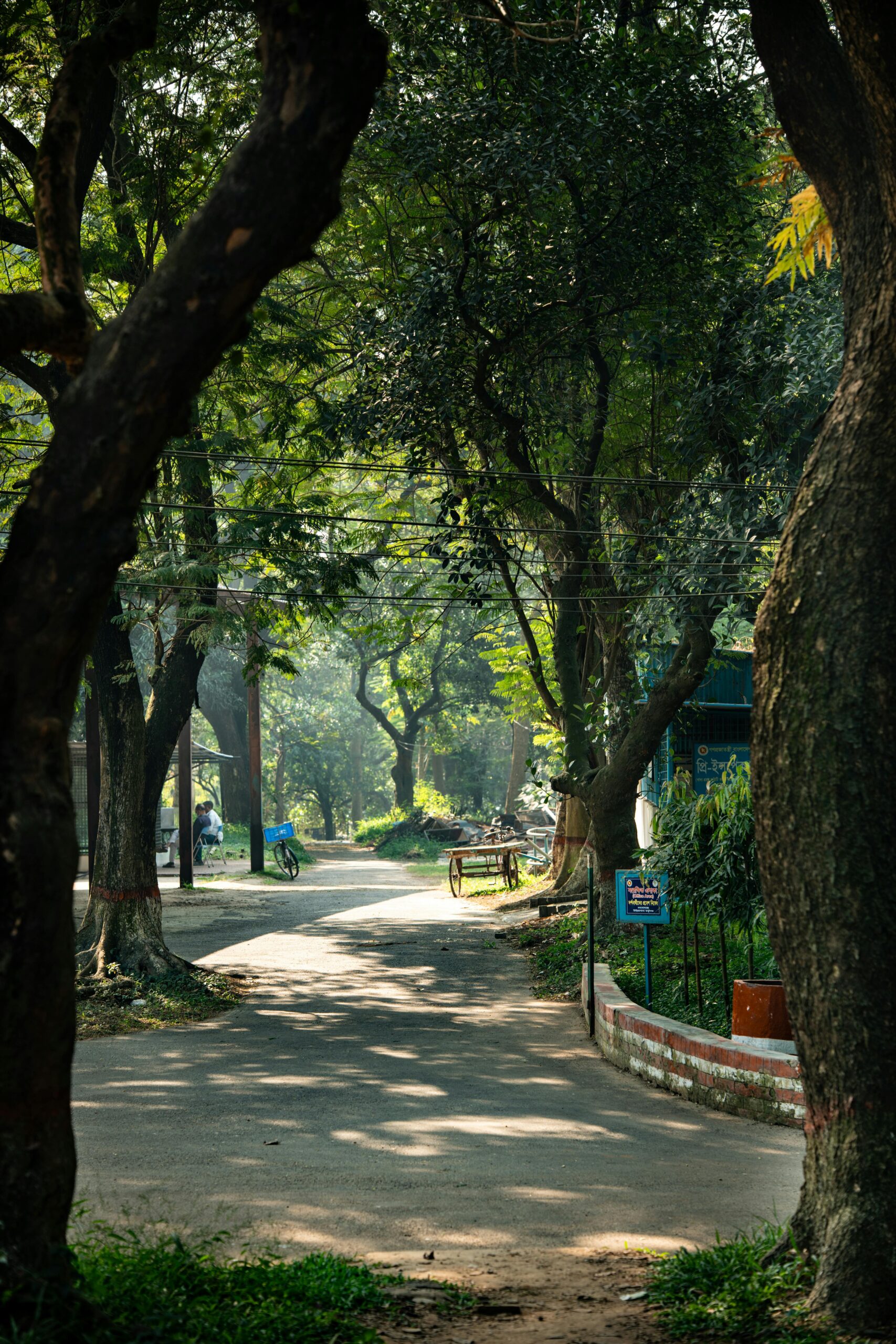 A quiet woodland area with bare and leafy trees, a wooden fence, and an open grassy clearing, representing a natural decompression zone or outdoor calm space for neuroinclusive event design